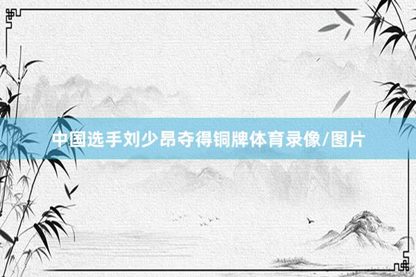 中国选手刘少昂夺得铜牌体育录像/图片