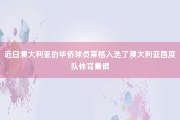 近日澳大利亚的华侨球员蒂格入选了澳大利亚国度队体育集锦