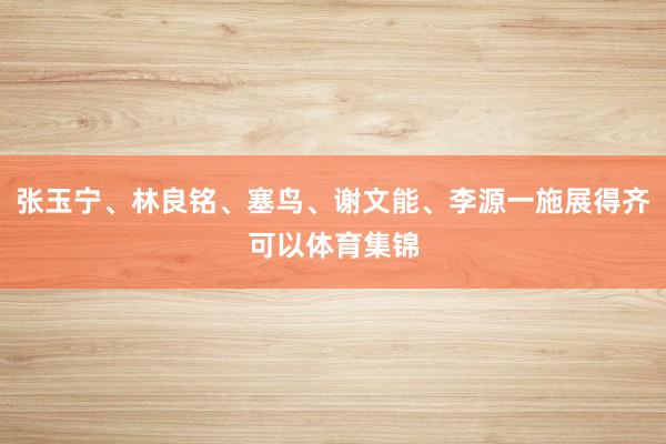 张玉宁、林良铭、塞鸟、谢文能、李源一施展得齐可以体育集锦