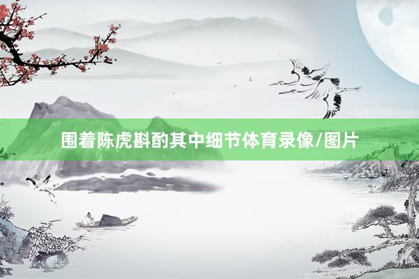 围着陈虎斟酌其中细节体育录像/图片
