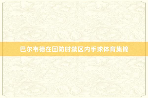 巴尔韦德在回防时禁区内手球体育集锦