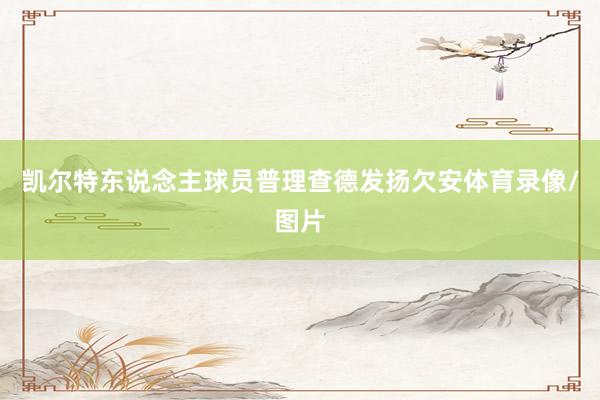 凯尔特东说念主球员普理查德发扬欠安体育录像/图片