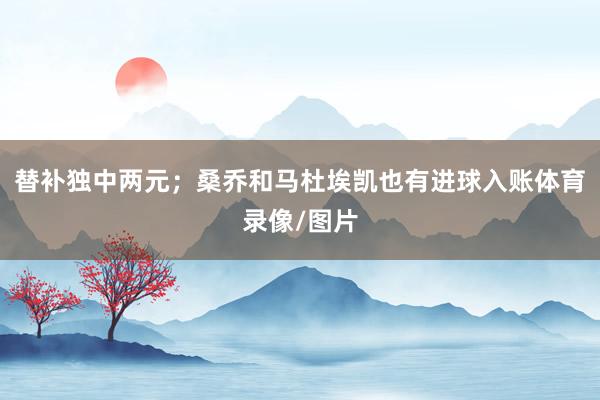 替补独中两元；桑乔和马杜埃凯也有进球入账体育录像/图片