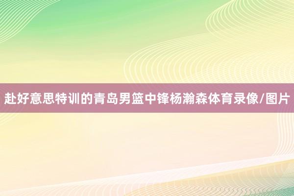 赴好意思特训的青岛男篮中锋杨瀚森体育录像/图片