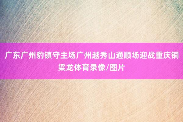 广东广州豹镇守主场广州越秀山通顺场迎战重庆铜梁龙体育录像/图片