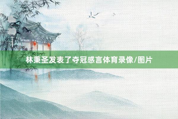 林秉圣发表了夺冠感言体育录像/图片
