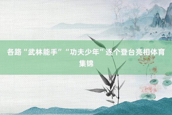 各路“武林能手”“功夫少年”逐个登台亮相体育集锦