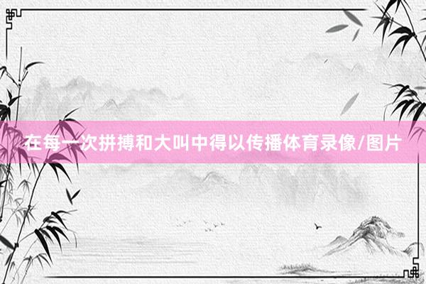 在每一次拼搏和大叫中得以传播体育录像/图片