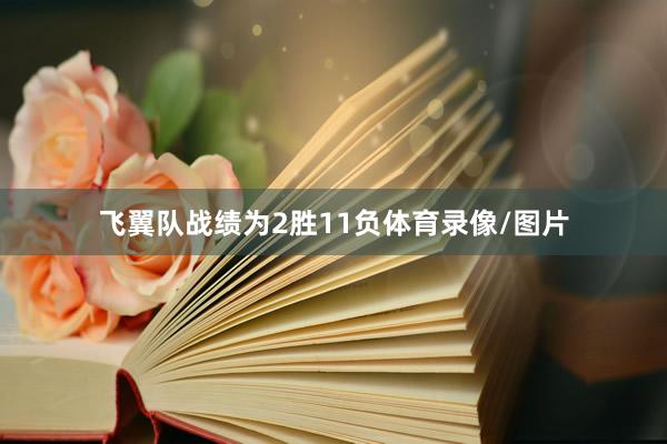 飞翼队战绩为2胜11负体育录像/图片
