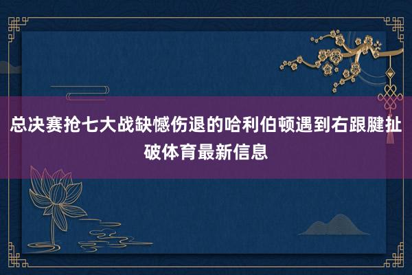总决赛抢七大战缺憾伤退的哈利伯顿遇到右跟腱扯破体育最新信息