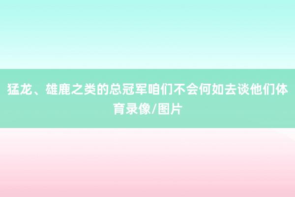 猛龙、雄鹿之类的总冠军咱们不会何如去谈他们体育录像/图片