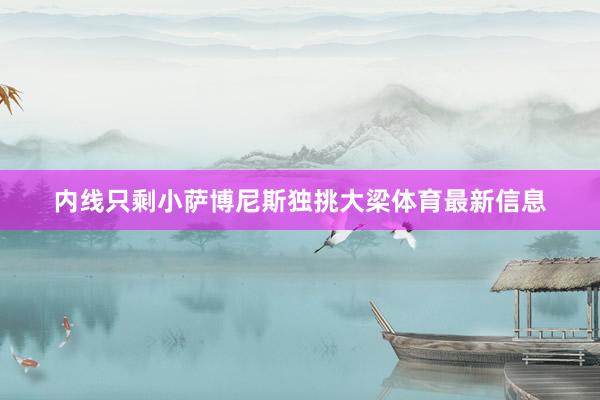 内线只剩小萨博尼斯独挑大梁体育最新信息