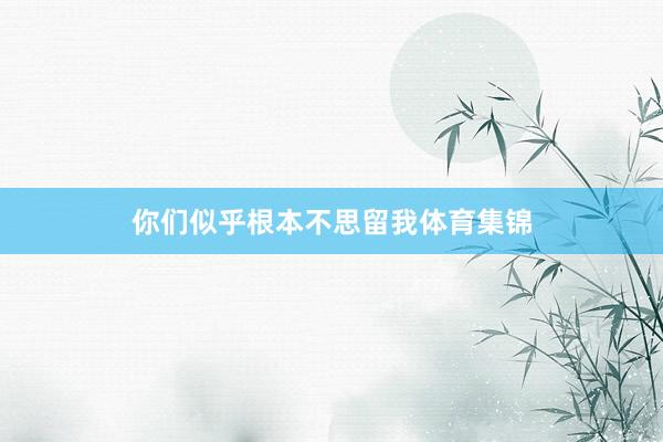 你们似乎根本不思留我体育集锦