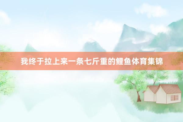 我终于拉上来一条七斤重的鲤鱼体育集锦