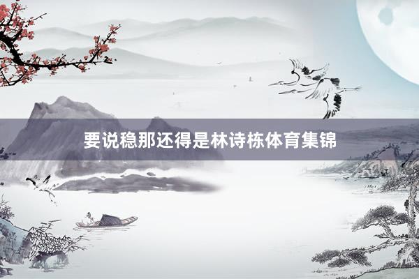 要说稳那还得是林诗栋体育集锦