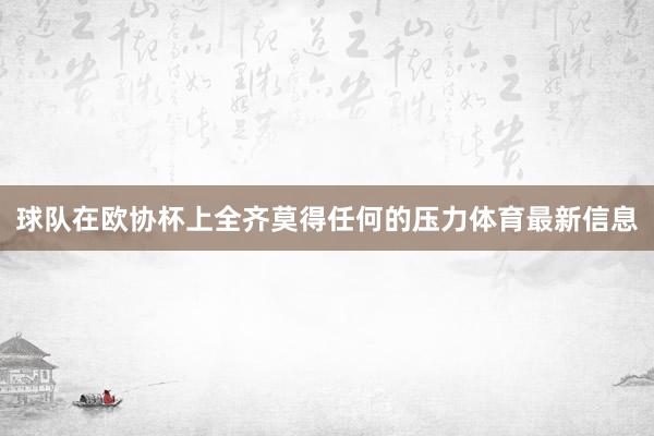 球队在欧协杯上全齐莫得任何的压力体育最新信息