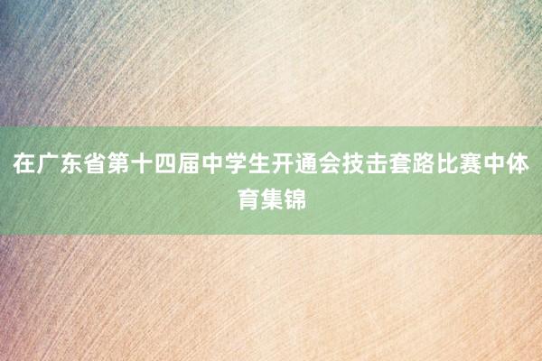 在广东省第十四届中学生开通会技击套路比赛中体育集锦