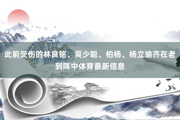 此前受伤的林良铭、吴少聪、柏杨、杨立瑜齐在老到阵中体育最新信息
