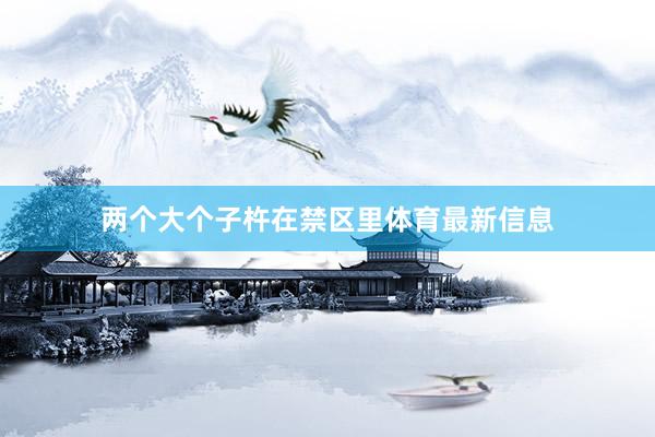 两个大个子杵在禁区里体育最新信息