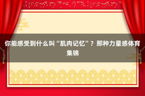 你能感受到什么叫“肌肉记忆”?那种力量感体育集锦