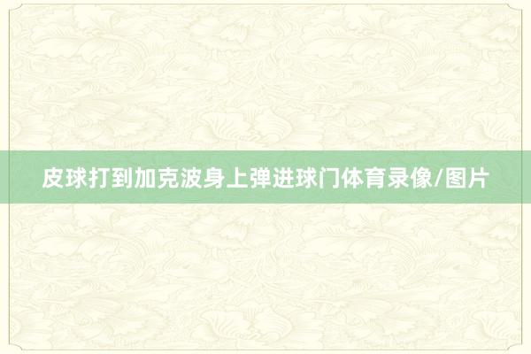 皮球打到加克波身上弹进球门体育录像/图片