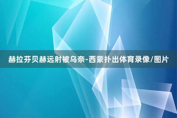 赫拉芬贝赫远射被乌奈-西蒙扑出体育录像/图片