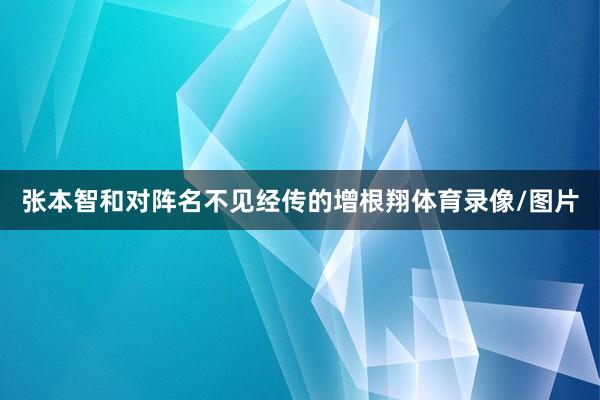 张本智和对阵名不见经传的增根翔体育录像/图片
