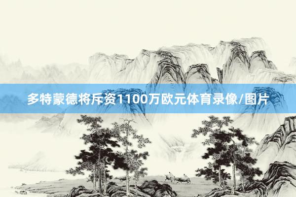 多特蒙德将斥资1100万欧元体育录像/图片