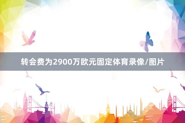 转会费为2900万欧元固定体育录像/图片