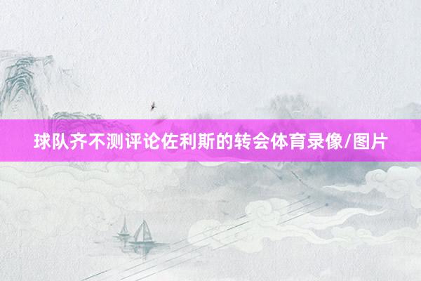 球队齐不测评论佐利斯的转会体育录像/图片