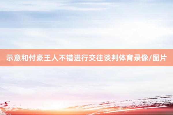 示意和付豪王人不错进行交往谈判体育录像/图片