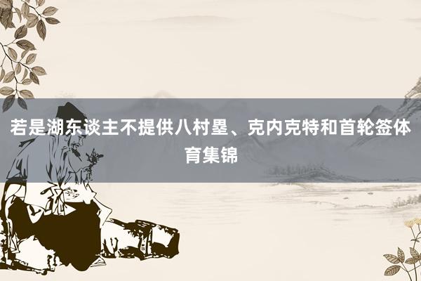 若是湖东谈主不提供八村塁、克内克特和首轮签体育集锦