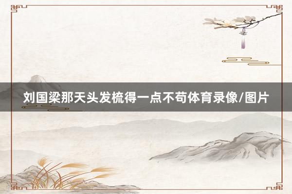 刘国梁那天头发梳得一点不苟体育录像/图片