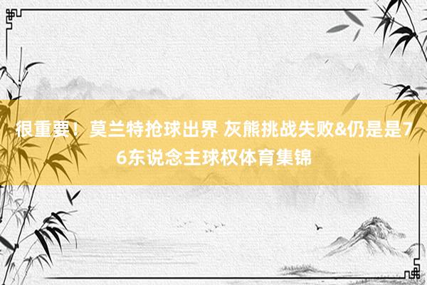 很重要！莫兰特抢球出界 灰熊挑战失败&仍是是76东说念主球权体育集锦