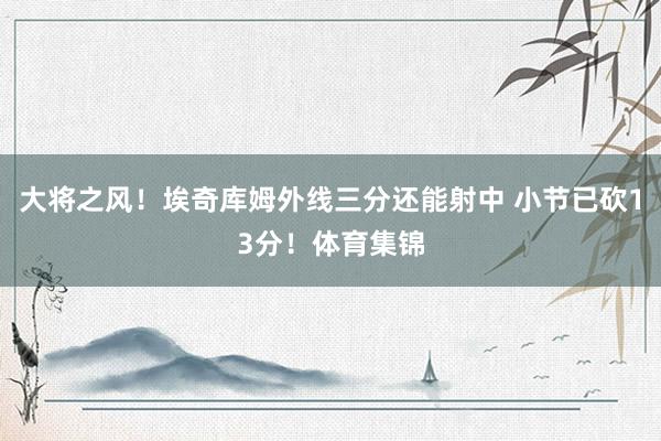 大将之风！埃奇库姆外线三分还能射中 小节已砍13分！体育集锦