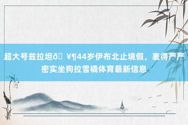 超大号兹拉坦🥶44岁伊布北止境假，裹得严严密实坐狗拉雪橇体育最新信息