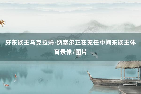 牙东谈主马克拉姆·纳塞尔正在充任中间东谈主体育录像/图片