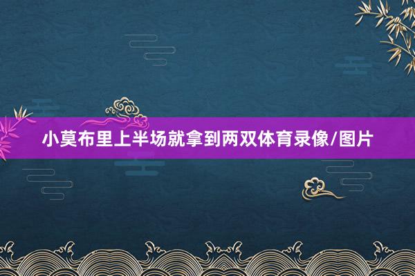 小莫布里上半场就拿到两双体育录像/图片
