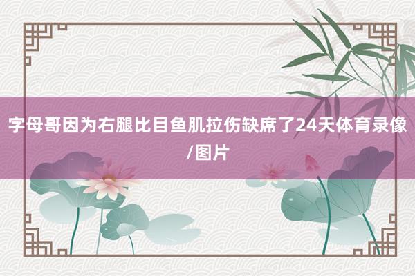 字母哥因为右腿比目鱼肌拉伤缺席了24天体育录像/图片