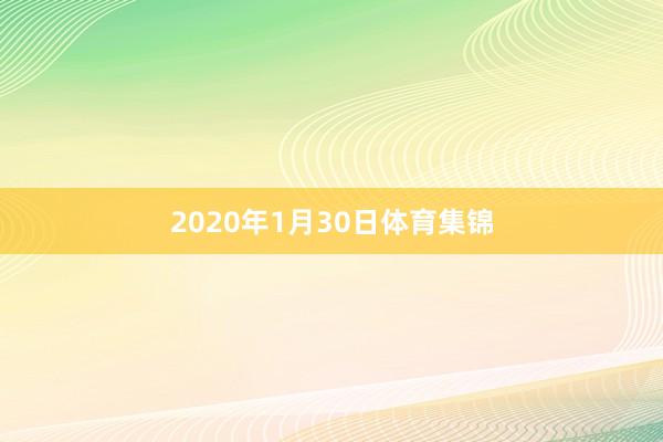 2020年1月30日体育集锦