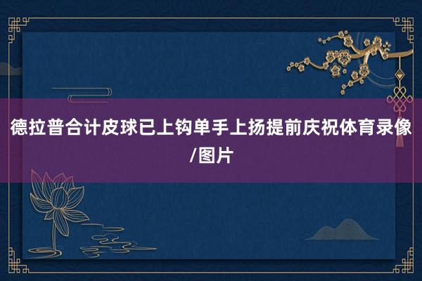 德拉普合计皮球已上钩单手上扬提前庆祝体育录像/图片