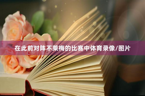 在此前对阵不莱梅的比赛中体育录像/图片