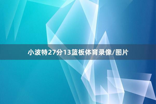 小波特27分13篮板体育录像/图片