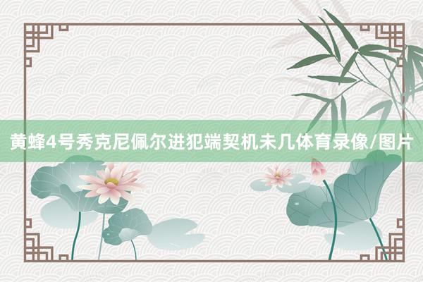 黄蜂4号秀克尼佩尔进犯端契机未几体育录像/图片