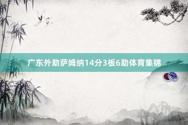 广东外助萨姆纳14分3板6助体育集锦