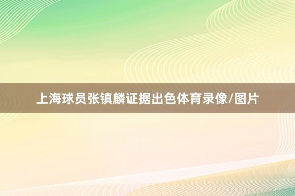 上海球员张镇麟证据出色体育录像/图片