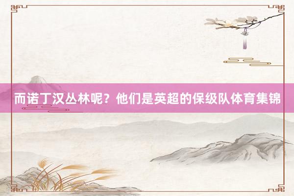 而诺丁汉丛林呢?他们是英超的保级队体育集锦