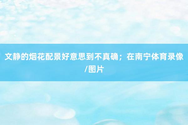 文静的烟花配景好意思到不真确;在南宁体育录像/图片