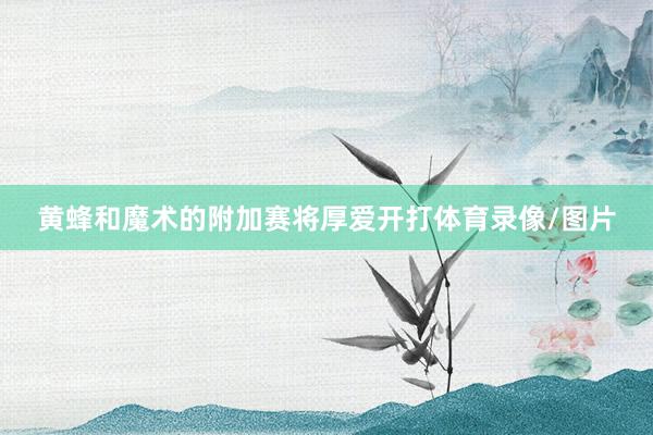 黄蜂和魔术的附加赛将厚爱开打体育录像/图片