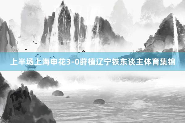 上半场上海申花3-0莳植辽宁铁东谈主体育集锦